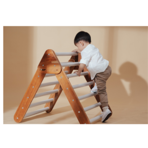 Aoddler climbing a ladder aparatus represents developmental domains and Maslow's hierarchy of needs.