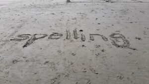 Practice spelling with a stick on the beach.