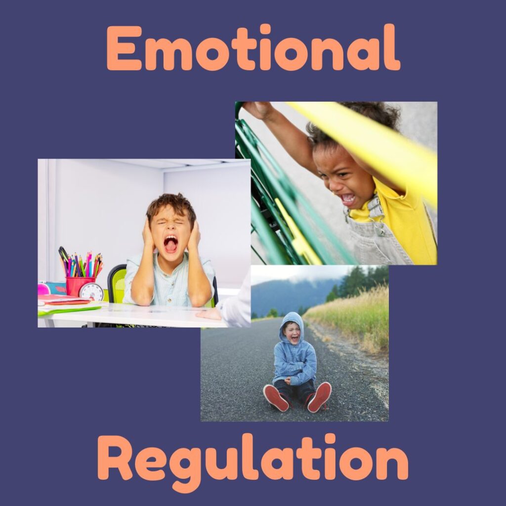 The frontal lobe of the brain is involved in regulating emotions.