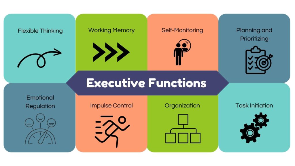 Graphic organizer of the 8 common executive functions that impact learning