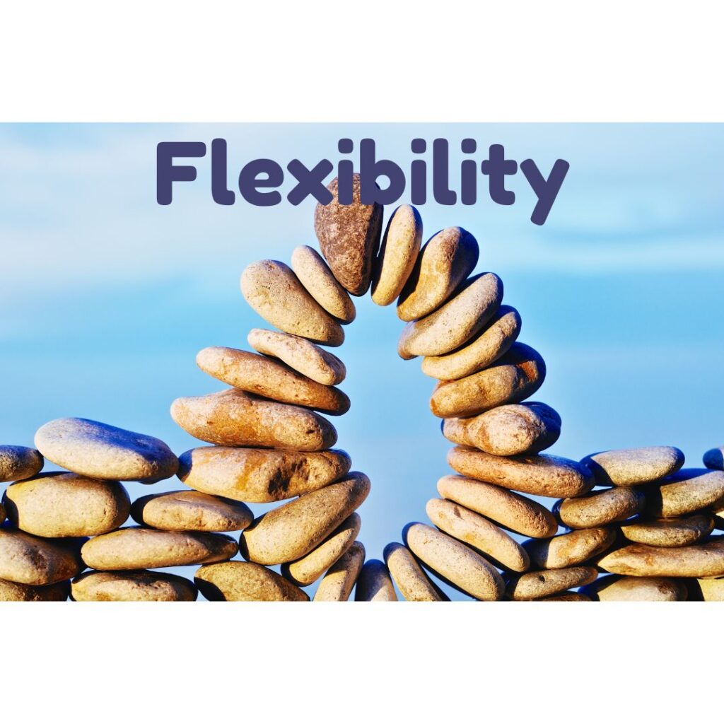 Flexibility is an executive function that means being able to shift thinking skills.