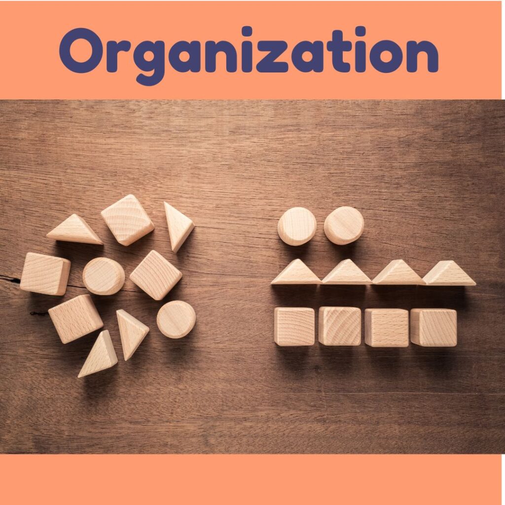 Organization is a brain skill that is often difficult for kids with special needs.